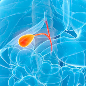 Surgical treatment of gall bladder pathologies