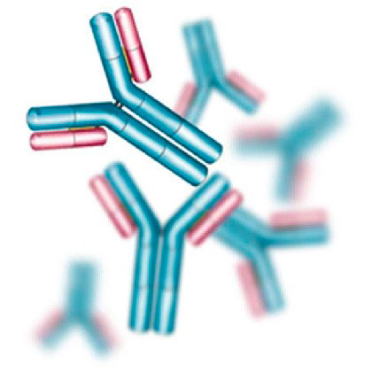 Allergy diagnostics