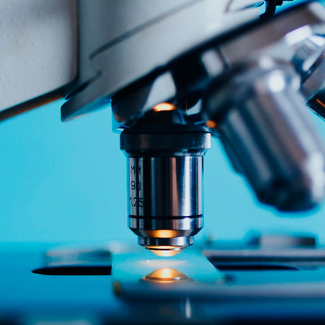 Planned histological tissue examination