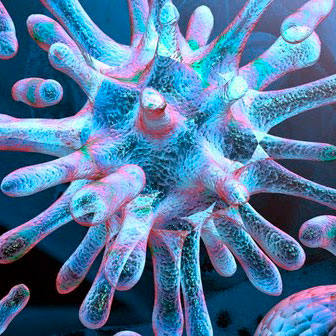 Infection test