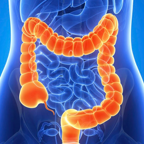Surgical interventions on the intestines