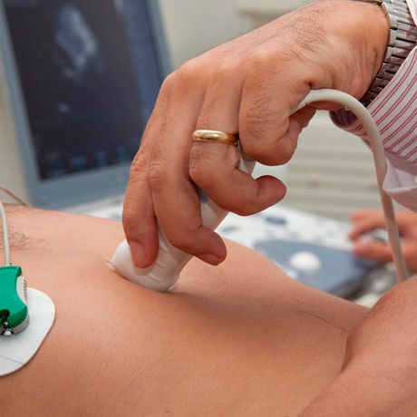 Echocardiography procedure