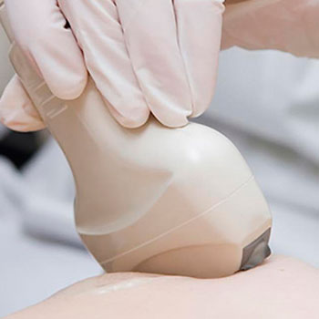 Mammal gland ultrasonography