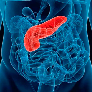 Surgical interventions on the pancreatic gland