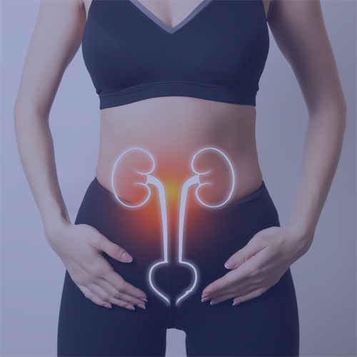 NeoControl: Electromagnetic Stimulation for Pelvic Floor Pathology Treatment