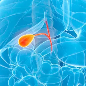 Surgical treatment of gall bladder pathologies