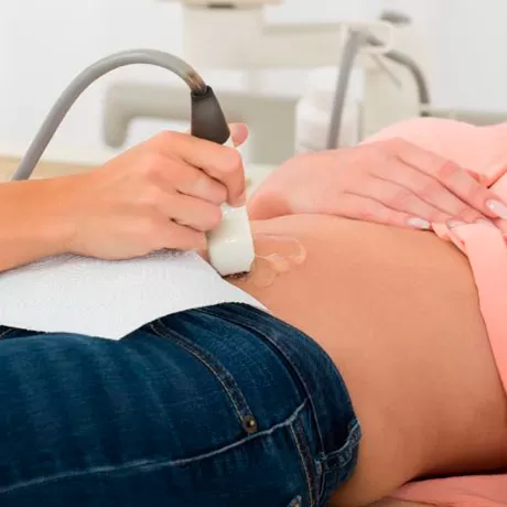 Pelvic organ ultrasonography