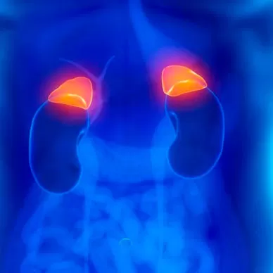 Surgical intervention on suprarenal glands