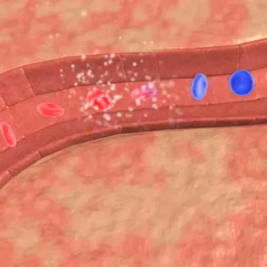 Blood gas and acid-base status tests