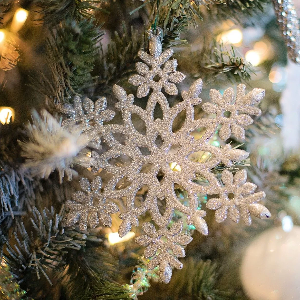 Поздравляем с Новым 2022 Годом и Рождеством!