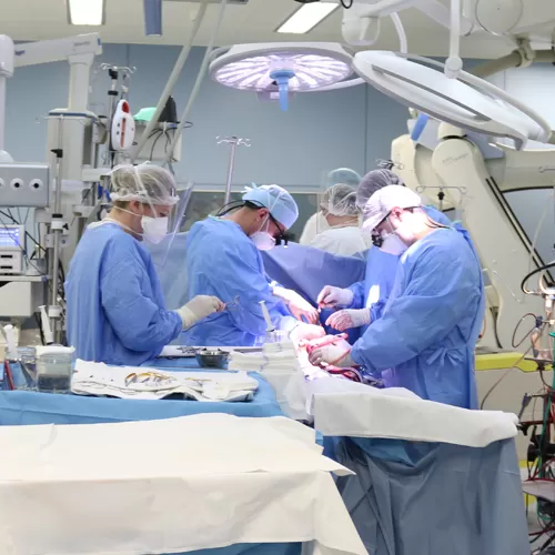 Забота о безопасности каждого пациента