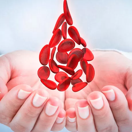 Hematologic studies