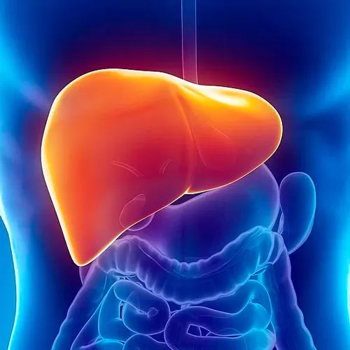 Surgical treatment of liver pathologies