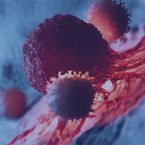 Myths in Oncology