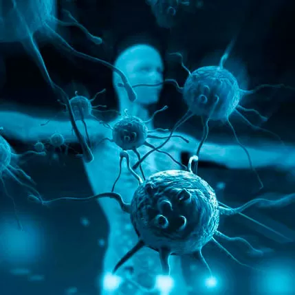 Study for markers of autoimmune diseases