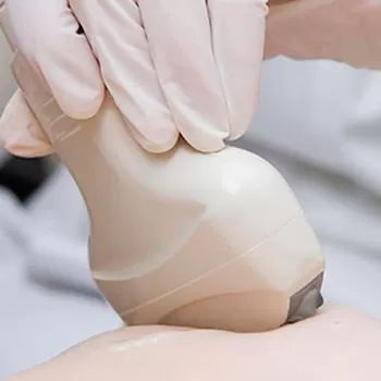 Mammal gland ultrasonography
